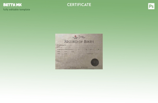 Модерен стил Соединетите Американски Држави Тексас Шаблон за извод од матична кн